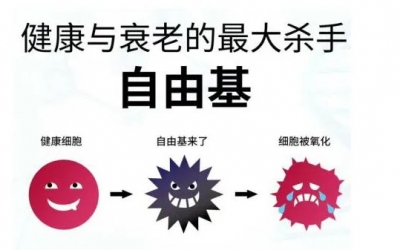 玻尿酸的作用與功效有哪些？